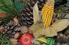 苹果和玉米一起煲汤吗?苹果和玉米一起煲汤好吗