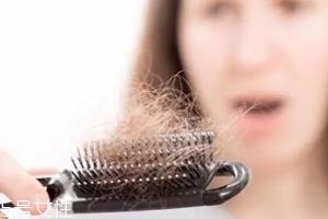 头发为什么会掉?毛囊想休息了 头发为什么会掉?毛囊想休息了