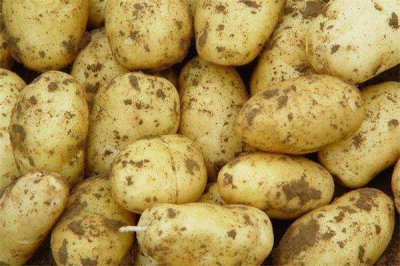 ​土豆可以生吃吗 土豆这样吃