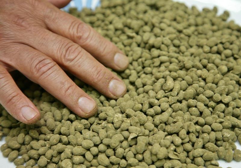 黑豆酱油的做法 在家也能自制