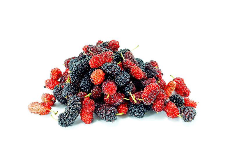 桑葚子有什么营养价值 桑葚子怎么清洗才干净