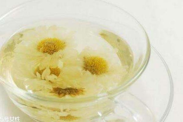 菊花有什么种类 菊花有什么功效呢