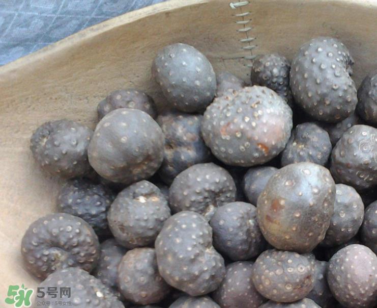 山药豆是怎么长出来的？山药豆是山药的种子吗？