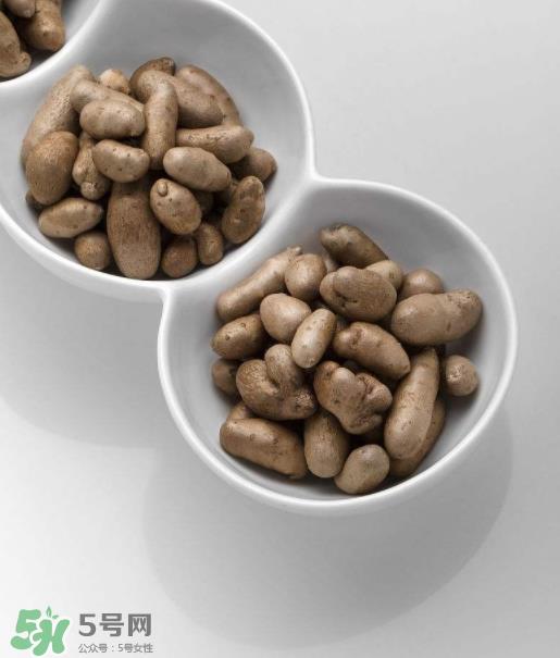 山药豆是怎么长出来的？山药豆是山药的种子吗？