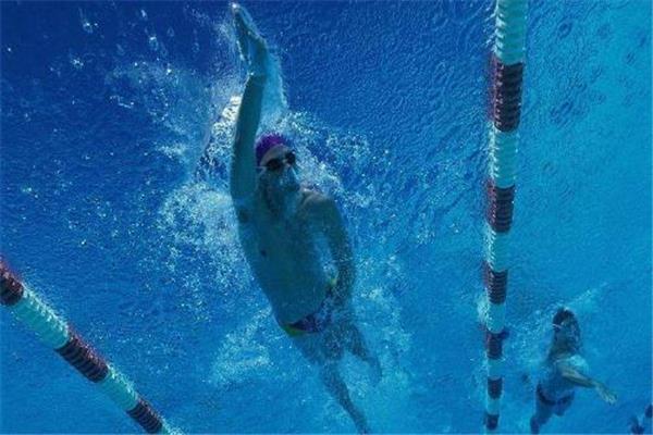 自由泳为什么那么累 和姿势有关