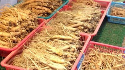 ​红参和白参的区别 中医解开人参5大问题