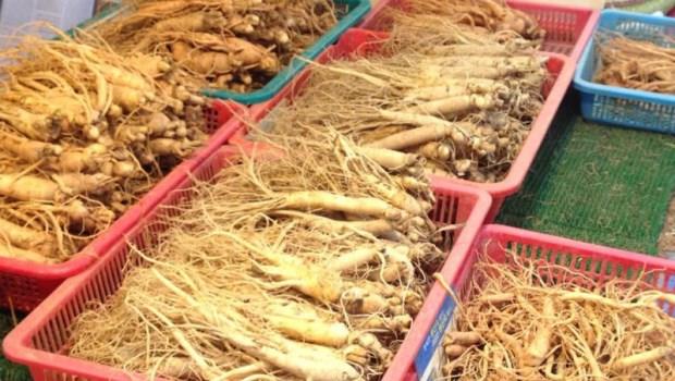 红参和白参的区别 中医解开人参5大问题