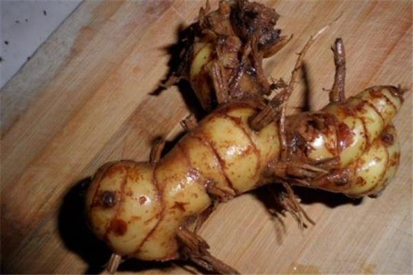 洋姜是日本传过来的吗 洋姜为什么又叫鬼子姜