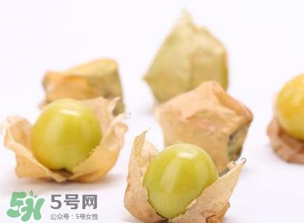 姑娘果什么时候成熟？姑娘果什么时候上市