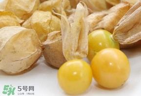 姑娘果什么时候成熟？姑娘果什么时候上市