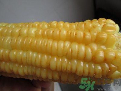 ​煮熟的玉米怎么保存?煮熟的玉米能放多久