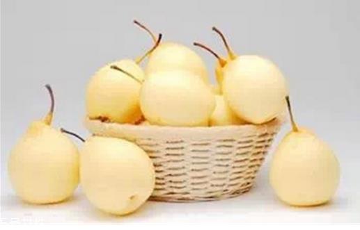 梨子怎么挑选？梨子可以煮水喝