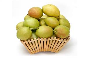 梨子怎么挑选？梨子可以煮水喝