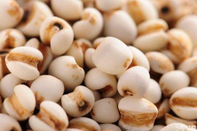 ​吃薏仁可以减肥吗 薏仁怎么吃减肥呢