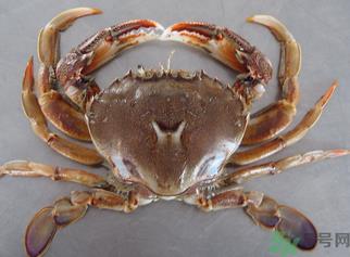 螃蟹和鲜枣能一起吃吗？螃蟹和大枣能一起吃吗？