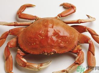 螃蟹和鲜枣能一起吃吗？螃蟹和大枣能一起吃吗？