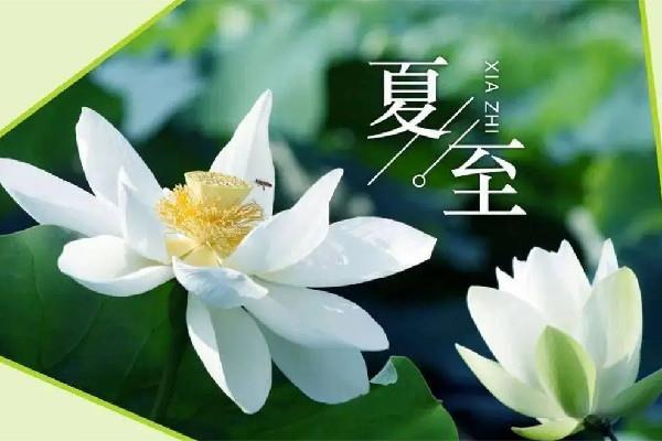 夏至吃面条还是饺子 夏至要吃馄饨吗