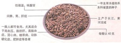 ​燕麦具有预防骨质疏松的功效