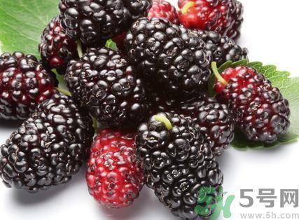 黑桑葚和白桑葚哪个好?黑桑葚和白桑葚的区别
