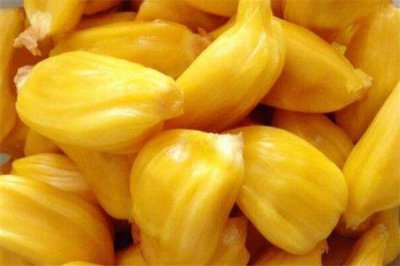 ​菠萝蜜可以和牛奶一起吃吗 菠萝蜜的吃法