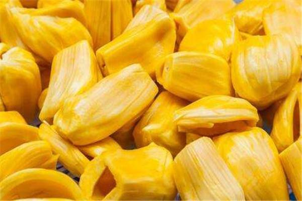 菠萝蜜可以和牛奶一起吃吗 菠萝蜜的吃法