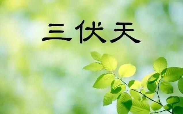 网络图片(侵删)