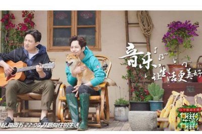 ​向往的生活游戏盘点 向往的生活游戏大全解谜