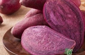 紫薯粥为什么是蓝色的？紫薯长芽了能吃吗