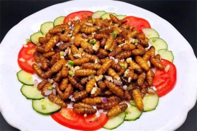 ​吃蚕蛹会上火吗 吃蚕蛹注意事项