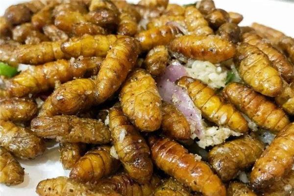 吃蚕蛹会上火吗 吃蚕蛹注意事项