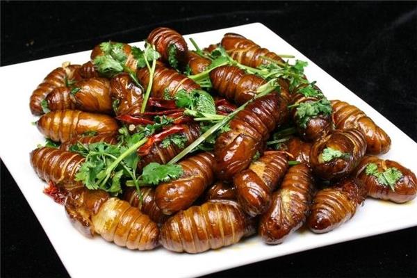 吃蚕蛹会上火吗 吃蚕蛹注意事项