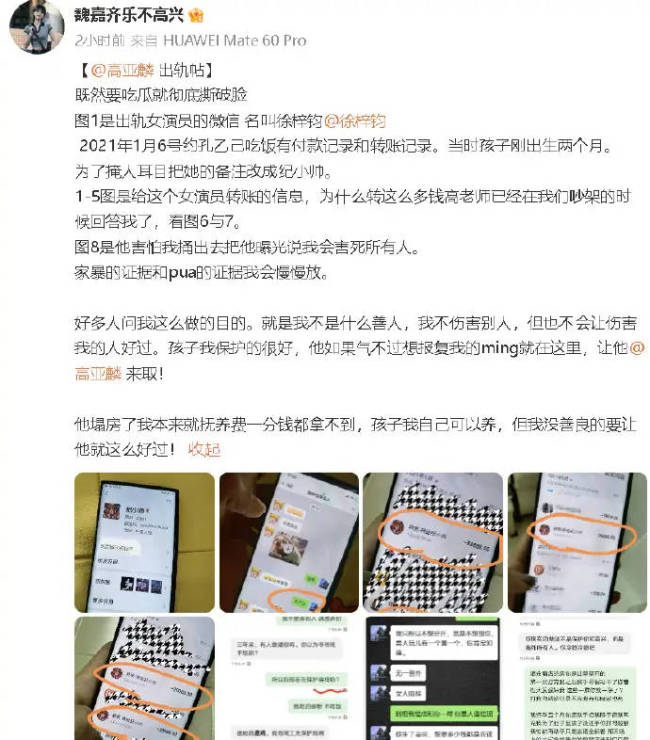 高亚麟被曝出轨家暴女演员 曾出演《家有儿女》