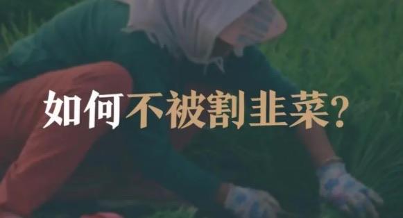 生活割韭菜是什么意思（应该如何避免被割韭菜）  2