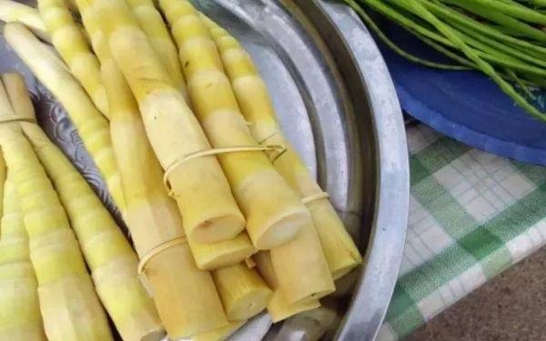 生活春笋要焯水吗 新鲜春笋怎么处理  3