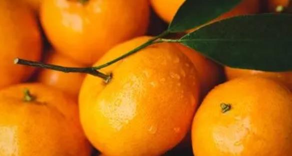 生活吃什么减肥效果最好最快（减肥效果最好的食物）  2