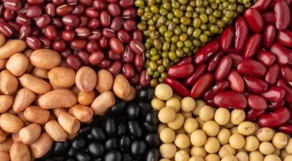 生活吃什么减肥效果最好最快（减肥效果最好的食物）  3