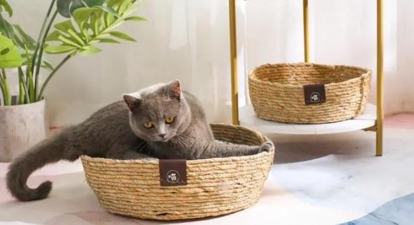 生活十大利润高的产品排名（高利润产品都有哪些）  4