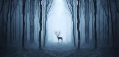 ​相亲认识的会有感情吗