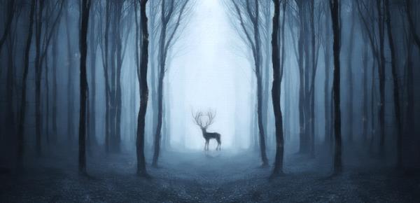 相亲认识的会有感情吗