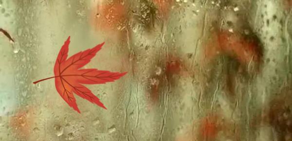 企业型性格与职业特征的区别