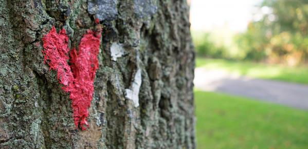 接受不了批评的人是什么人