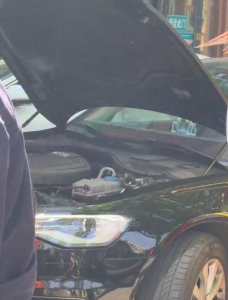 ​哈尔滨街头，一轿车内钻进两米长大蛇！