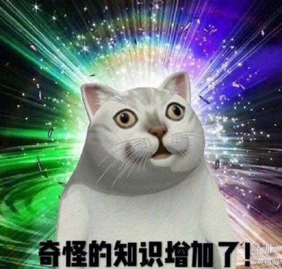 ​黄晓明绿洲问killing part是啥 网友：就是闹太套