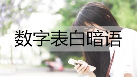 数字表白暗语1