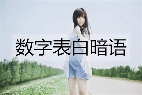 数字表白暗语2