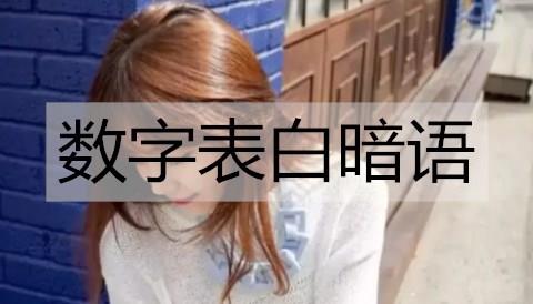 数字表白暗语3