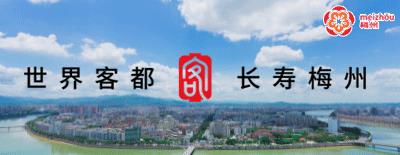 “舌尖上的梅州”客家美食非遗项目（六）——清明粄