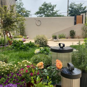 ​如何消灭家里的蚂蚁小妙方，介绍4种处理蚂蚁问题的方法