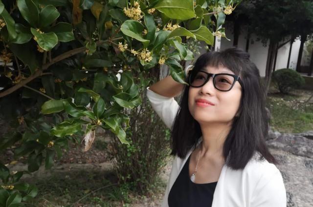 夫妻本是同林鸟，百年修得共枕眠，离婚的人为什么越来越多了？