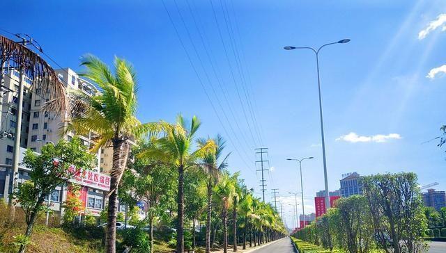 海南这个城市，只有一所国家“211工程”本科大学，不是海口三亚